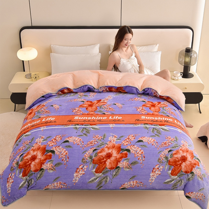 91家纺网 家纺一手货源 找家纺 （总）佳品居 2025新款A类牛奶绒印花单被套