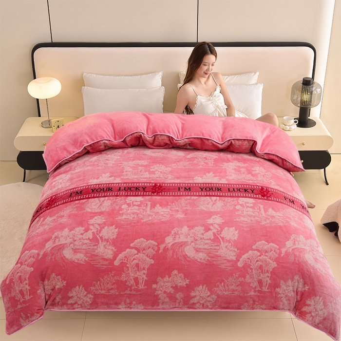 91家纺网 家纺一手货源 找家纺 （总）佳品居 2025新款A类牛奶绒印花单被套