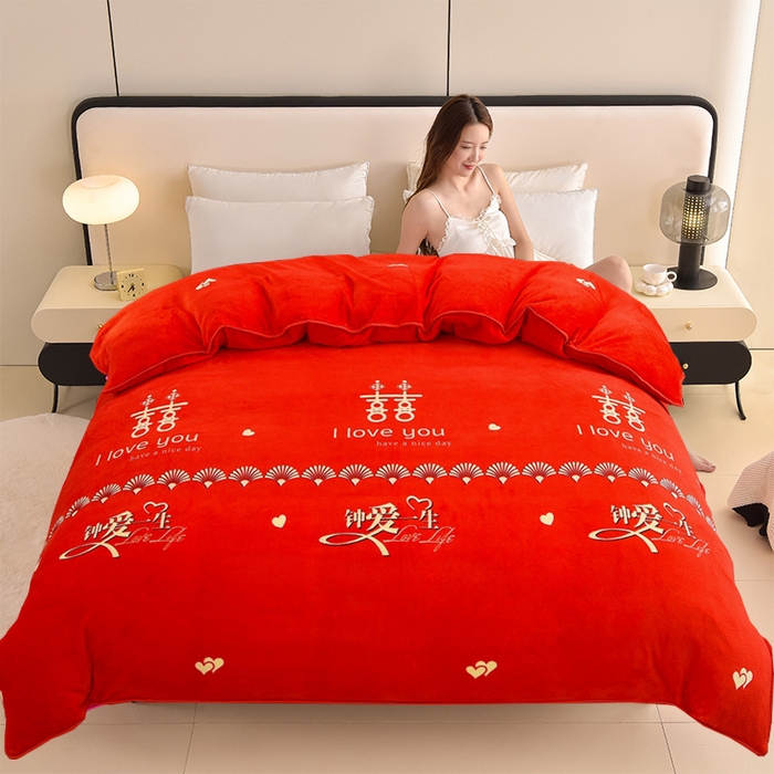 91家纺网 家纺一手货源 找家纺 （总）佳品居 2025新款A类牛奶绒印花单被套