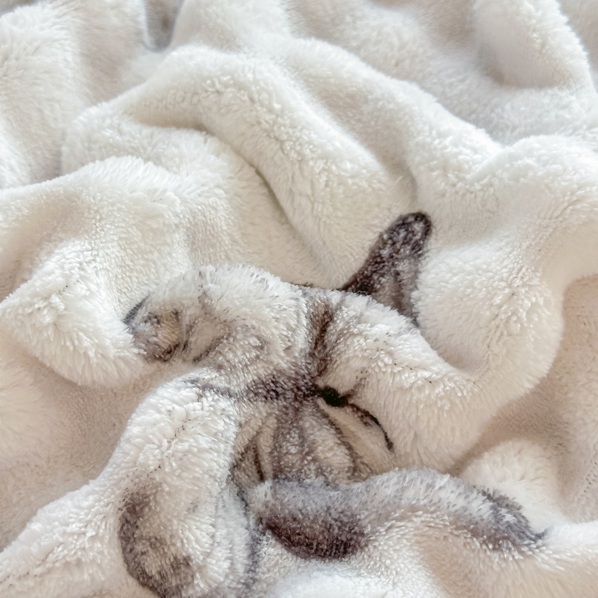 91家纺网 家纺一手货源 找家纺 归属 2025新款牛奶绒泡泡绒四件套 灰蝴蝶