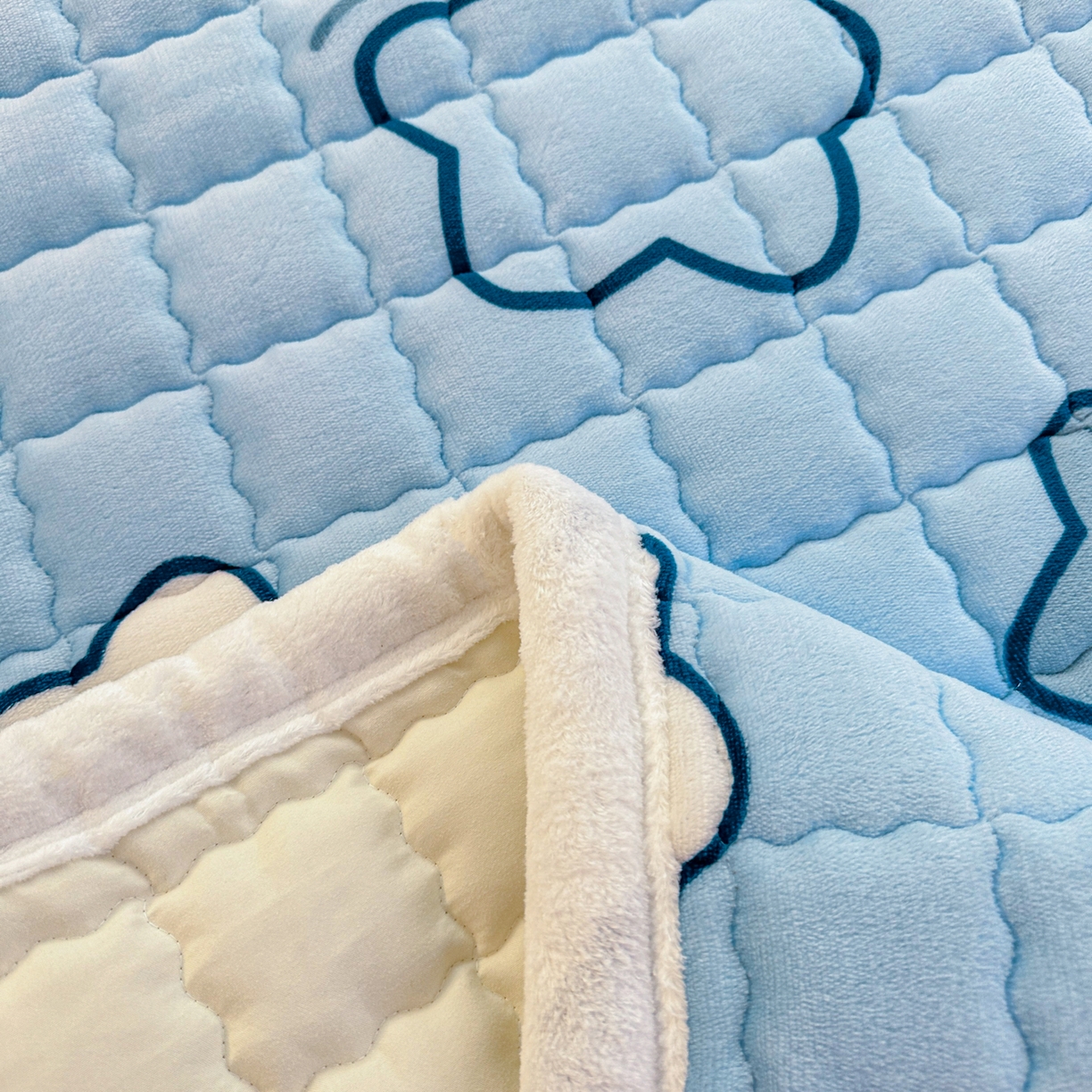 91家纺网 家纺一手货源 找家纺 川悦生活 2025新款A类印花牛奶绒床垫加厚绒保暖床床褥 床垫天空星系