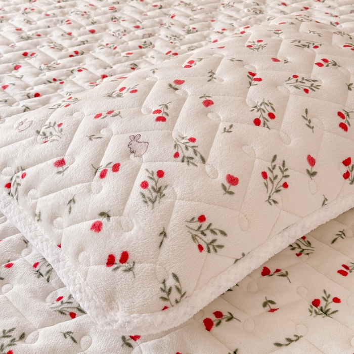 91家纺网 家纺一手货源 找家纺 小萌虎 2025秋冬新款牛奶绒夹棉床垫床褥 小确幸