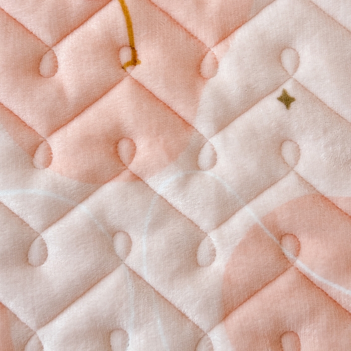 91家纺网 家纺一手货源 找家纺 小萌虎 2025秋冬新款牛奶绒夹棉床垫床褥 大樱桃