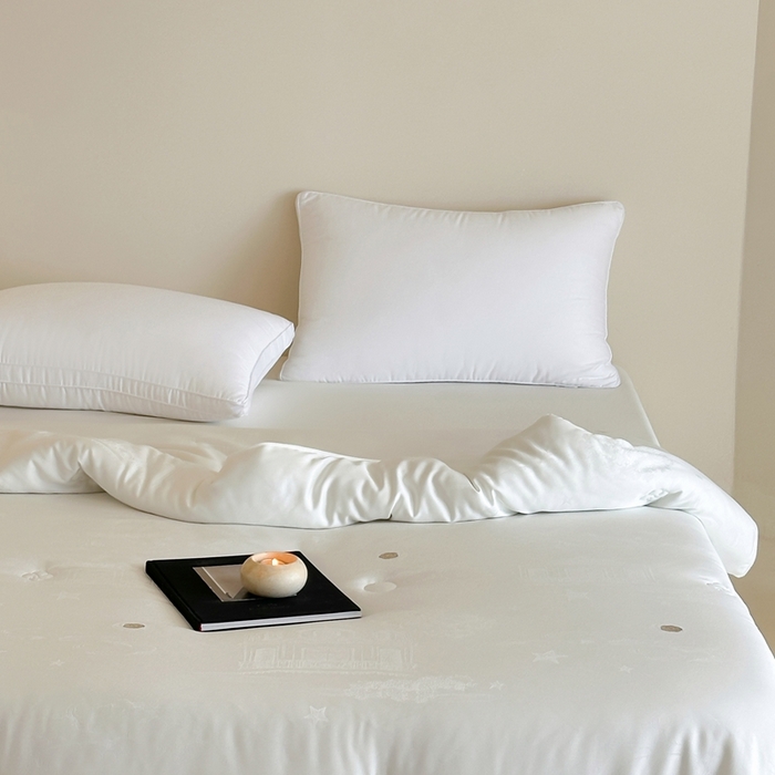 91家纺网 家纺一手货源 找家纺 茧羽世家 2025新款豆绒生态被 被子被芯 圣罗伦