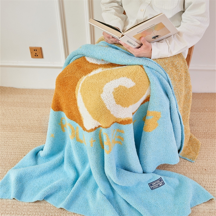 91家纺网 家纺一手货源 找家纺 暖绵绵家纺 2025新款甜品点心系列毯子毛毯抱枕套 拉贝瑞