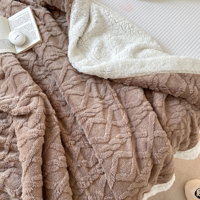 91家纺网 家纺一手货源 找家纺 悦织湾家纺 2025加厚保暖舒棉绒羊羔绒毛毯双面双层宽包边塔芙绒毯子休闲沙发盖毯小被子跨境专供外贸出口可定制 塔夫绒-咖