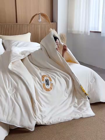 91家纺网 家纺一手货源 找家纺 （总）芯氧  2025新款SUN YOUNG系列高端李官奇铂金大豆被春秋被冬被子母被