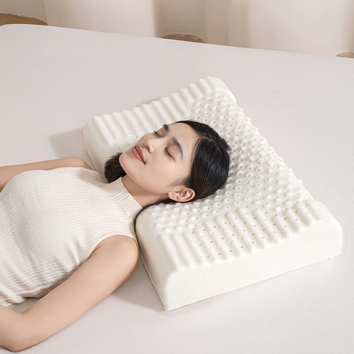 91家纺网 家纺一手货源 找家纺 （总）锦鲤枕芯 2025款慢回弹记忆枕