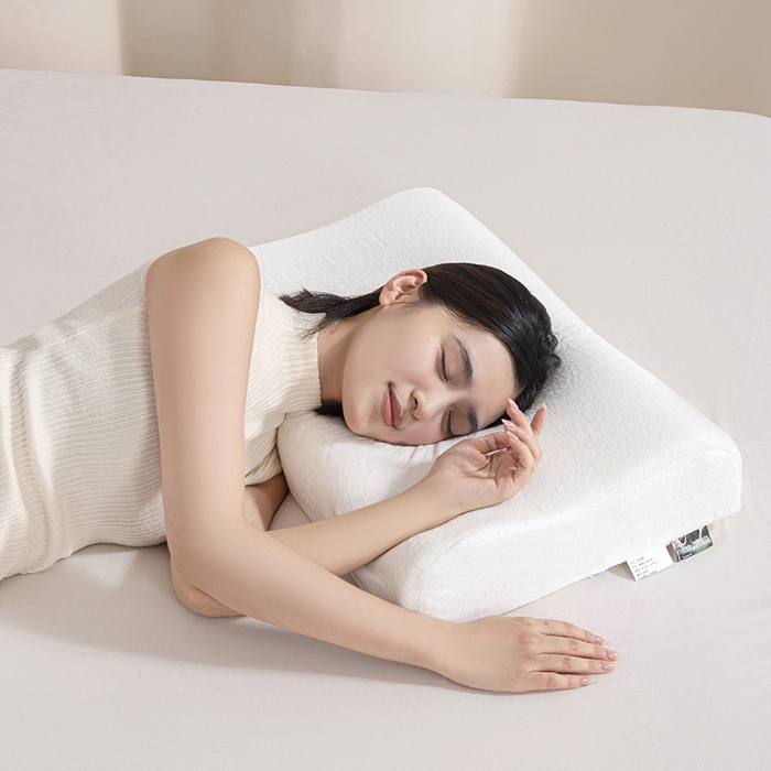 91家纺网 家纺一手货源 找家纺 （总）锦鲤枕芯 2025款慢回弹记忆枕