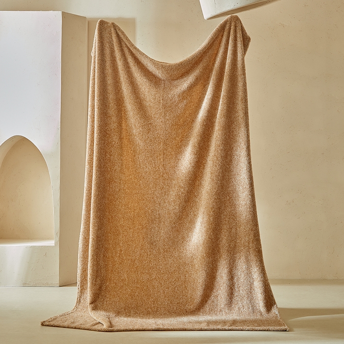 缘生活 2025新款阳离子毛巾毯四季通用百搭款毛毯毯子 阳离子毛巾毯棕色