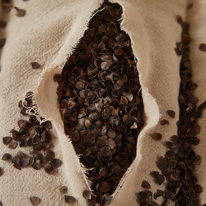 91家纺网 家纺一手货源 找家纺 （总）鼎晟纺 2025新款全棉荞麦枕成人枕头学生枕芯