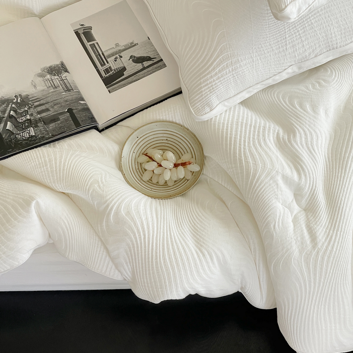 91家纺网 家纺一手货源 找家纺 （总）一加一 2025新款全棉大提花艾阳绒立体抗菌被子被芯