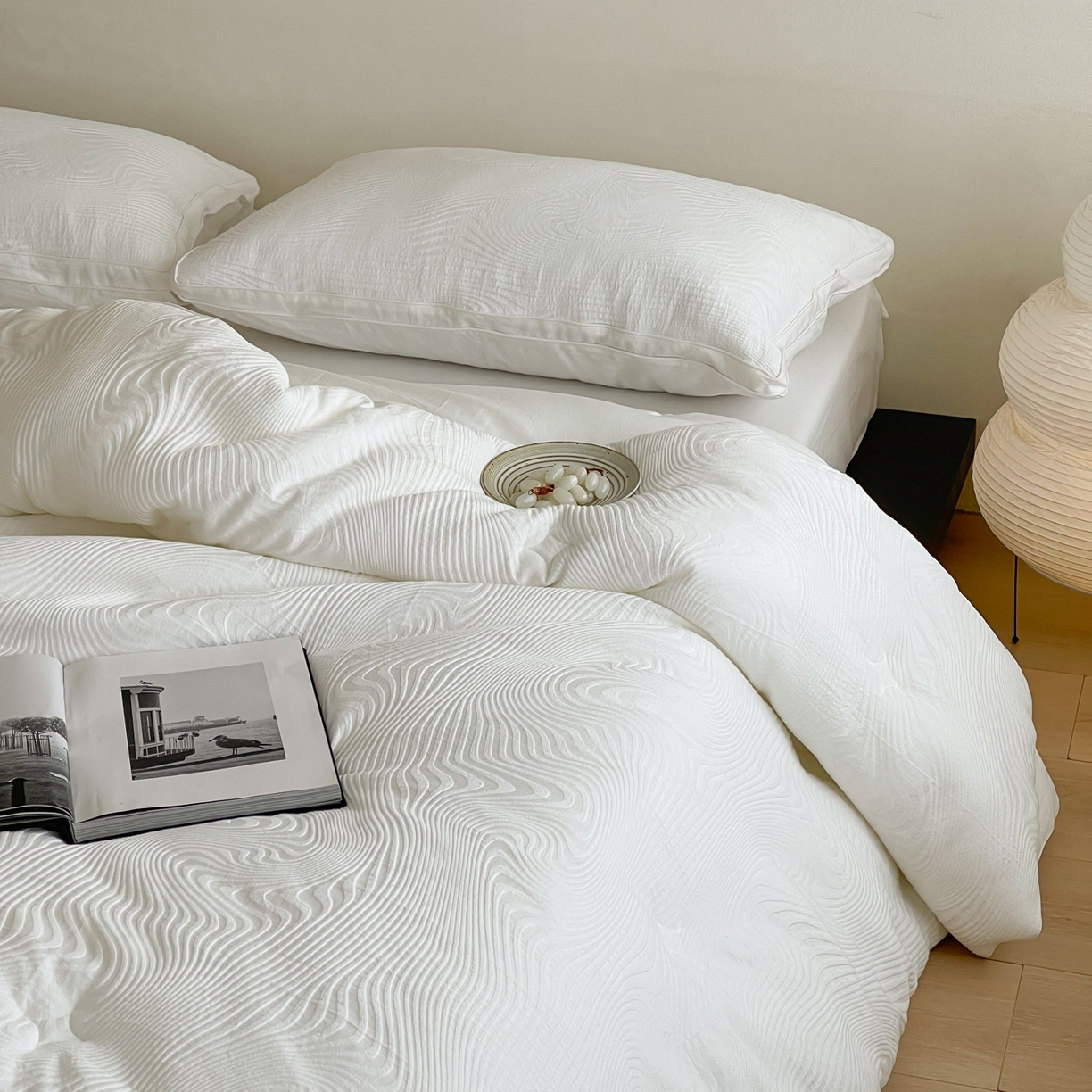 91家纺网 家纺一手货源 找家纺 （总）一加一 2025新款全棉大提花艾阳绒立体抗菌被子被芯