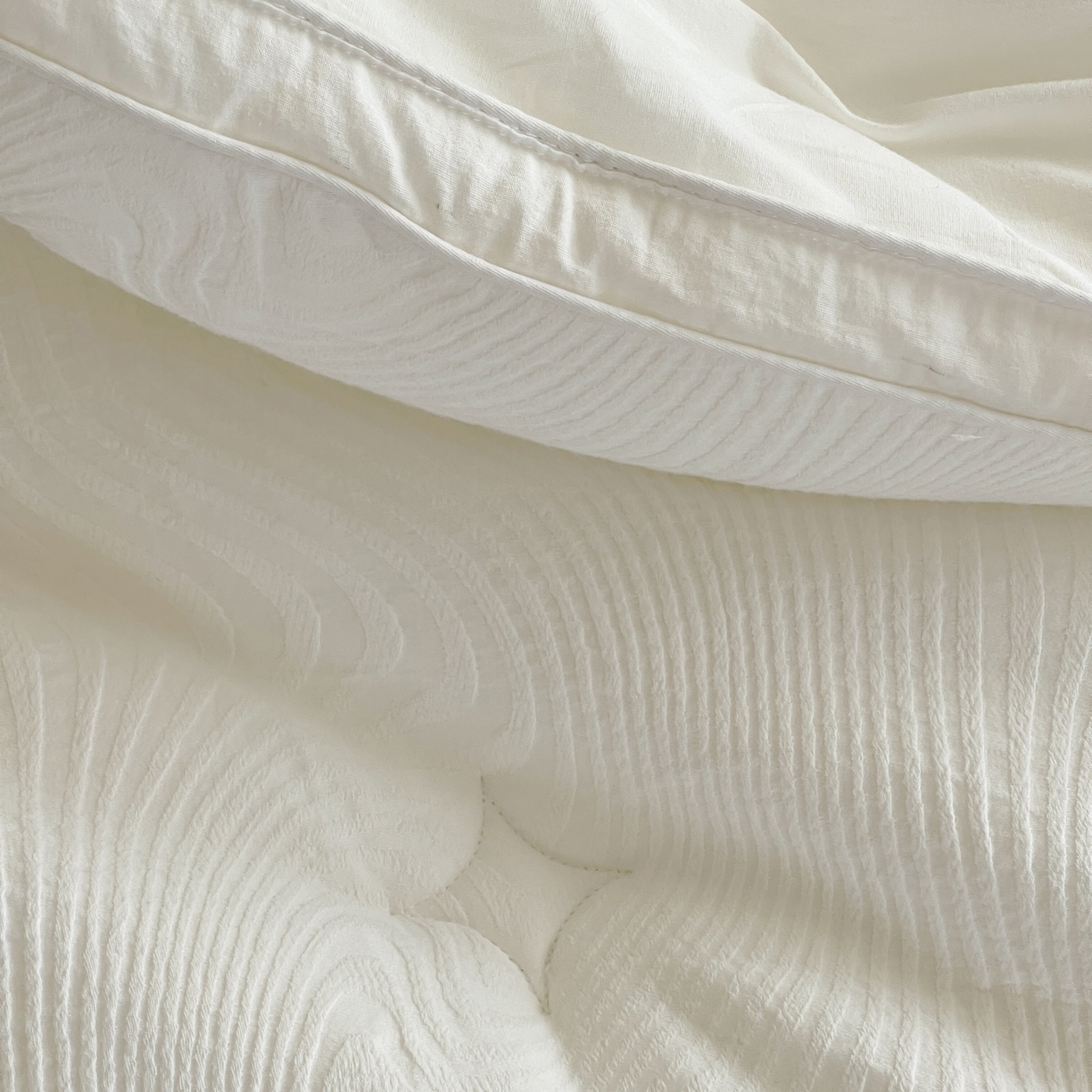 91家纺网 家纺一手货源 找家纺 （总）一加一 2025新款全棉大提花艾阳绒立体抗菌被子被芯