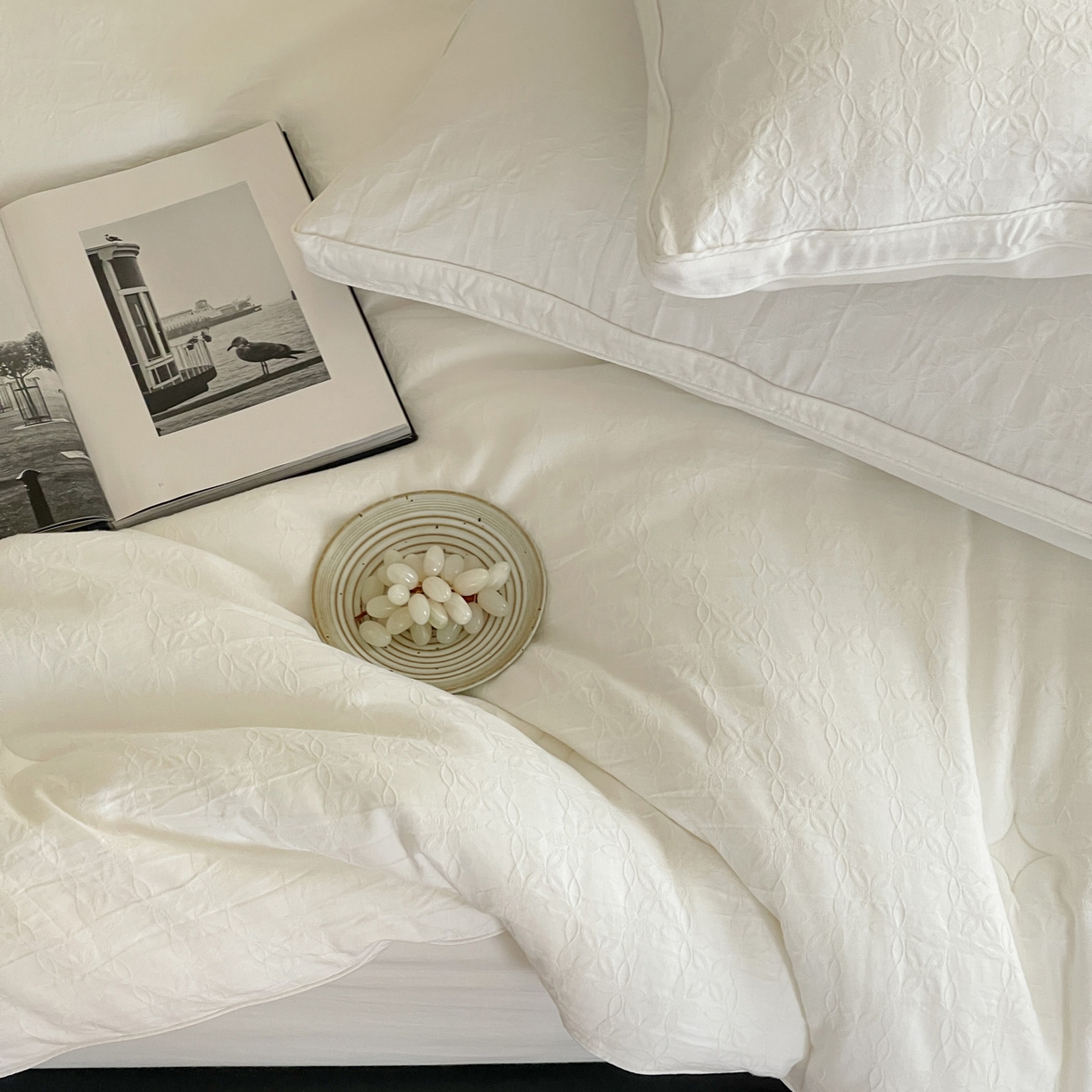 91家纺网 家纺一手货源 找家纺 （总）一加一 2025新款全棉大提花55%大豆立体抗菌被子被芯