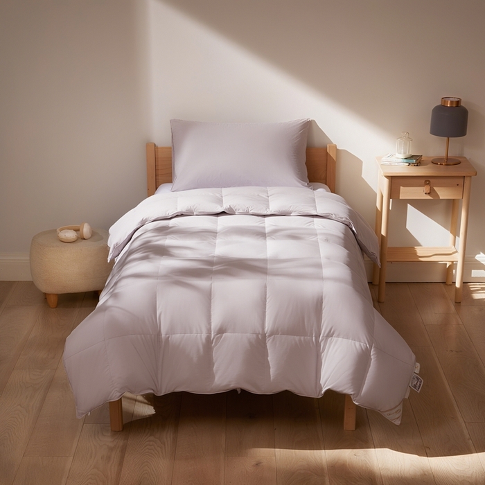 圣梦莱羽绒家纺 2025新款羽绒被A类可水洗90鸭绒被可裸睡春秋被四季被地暖被被子被芯 单人羽绒四季被（灰）