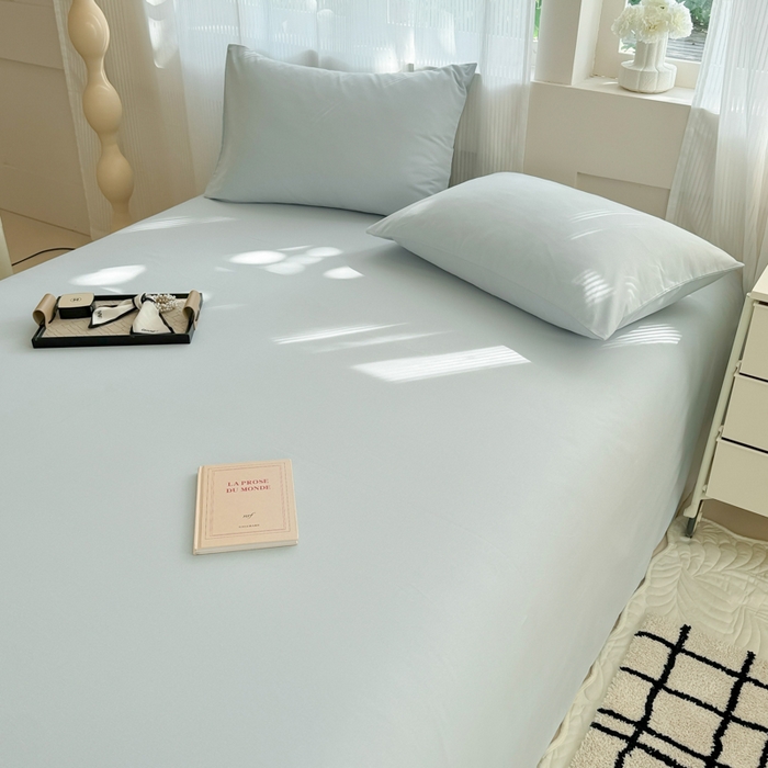 91家纺网 家纺一手货源 找家纺 丽美人家纺 2025新款全棉纯棉磨毛单床单 床单单件 海青