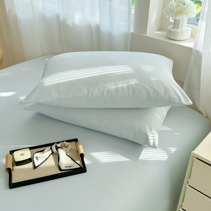 91家纺网 家纺一手货源 找家纺 丽美人家纺 2025新款全棉纯棉磨毛单床单 床单单件 海青