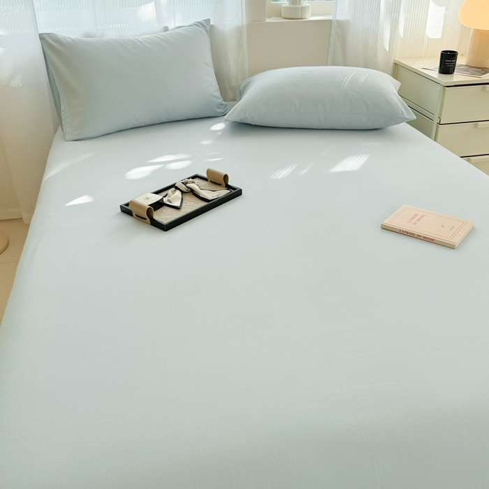 91家纺网 家纺一手货源 找家纺 丽美人家纺 2025新款全棉纯棉磨毛单床单 床单单件 海青