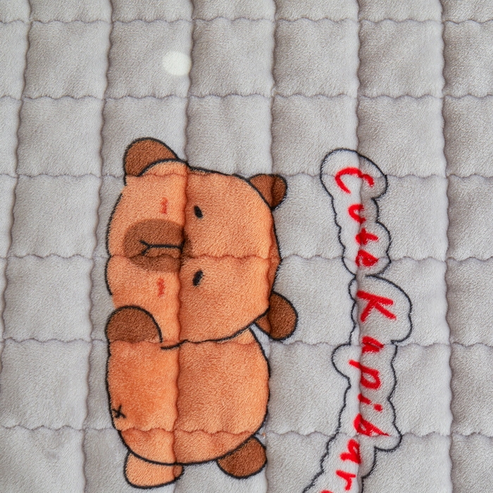 91家纺网 家纺一手货源 找家纺 爱思凯家纺 2025新款初心-牛奶绒学生床笠小号三件套 【初心】床笠-灰底卡拉