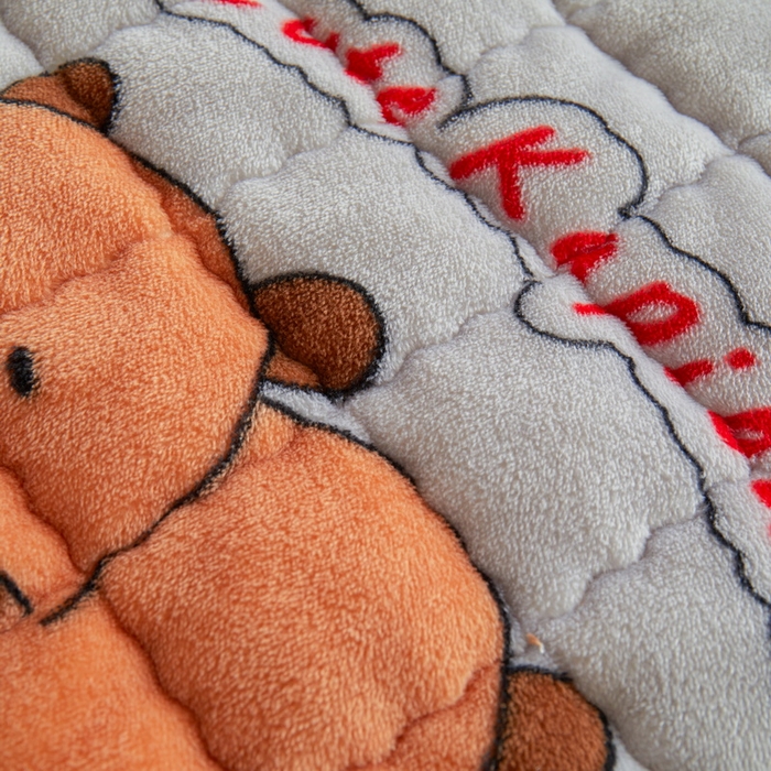 91家纺网 家纺一手货源 找家纺 爱思凯家纺 2025新款初心-牛奶绒学生床笠小号三件套 【初心】床笠-灰底卡拉