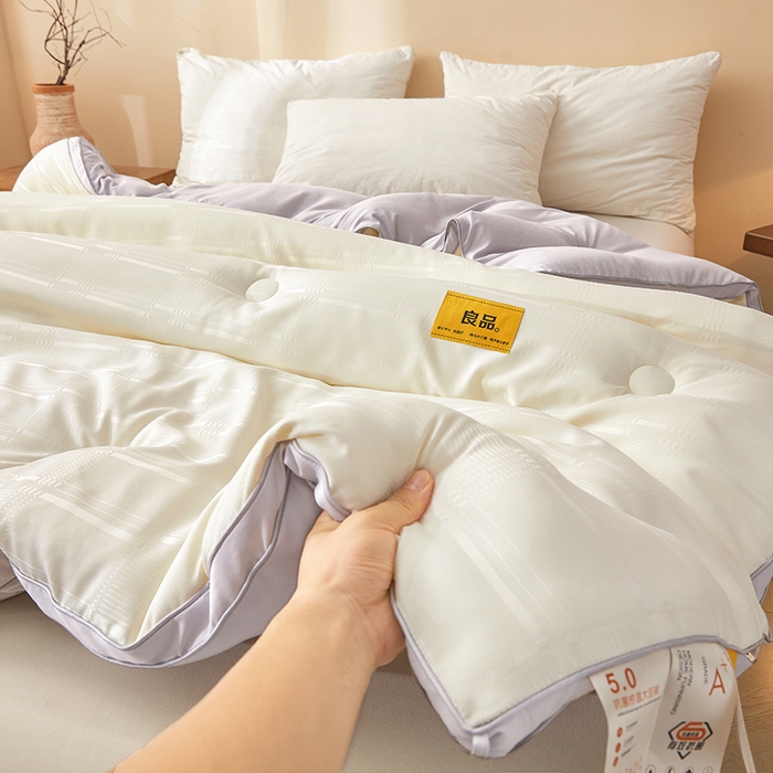 91家纺网 家纺一手货源 找家纺 晚悠家纺 2025新款A类抗菌控温保暖大豆被5.0被子被芯春秋冬被夏被爆款 奶白灰