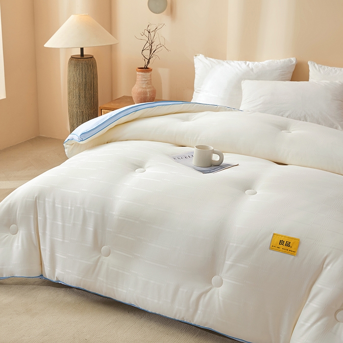 91家纺网 家纺一手货源 找家纺 晚悠家纺 2025新款A类抗菌控温保暖大豆被5.0被子被芯春秋冬被夏被爆款 奶白蓝