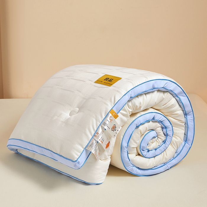 91家纺网 家纺一手货源 找家纺 晚悠家纺 2025新款A类抗菌控温保暖大豆被5.0被子被芯春秋冬被夏被爆款 奶白蓝