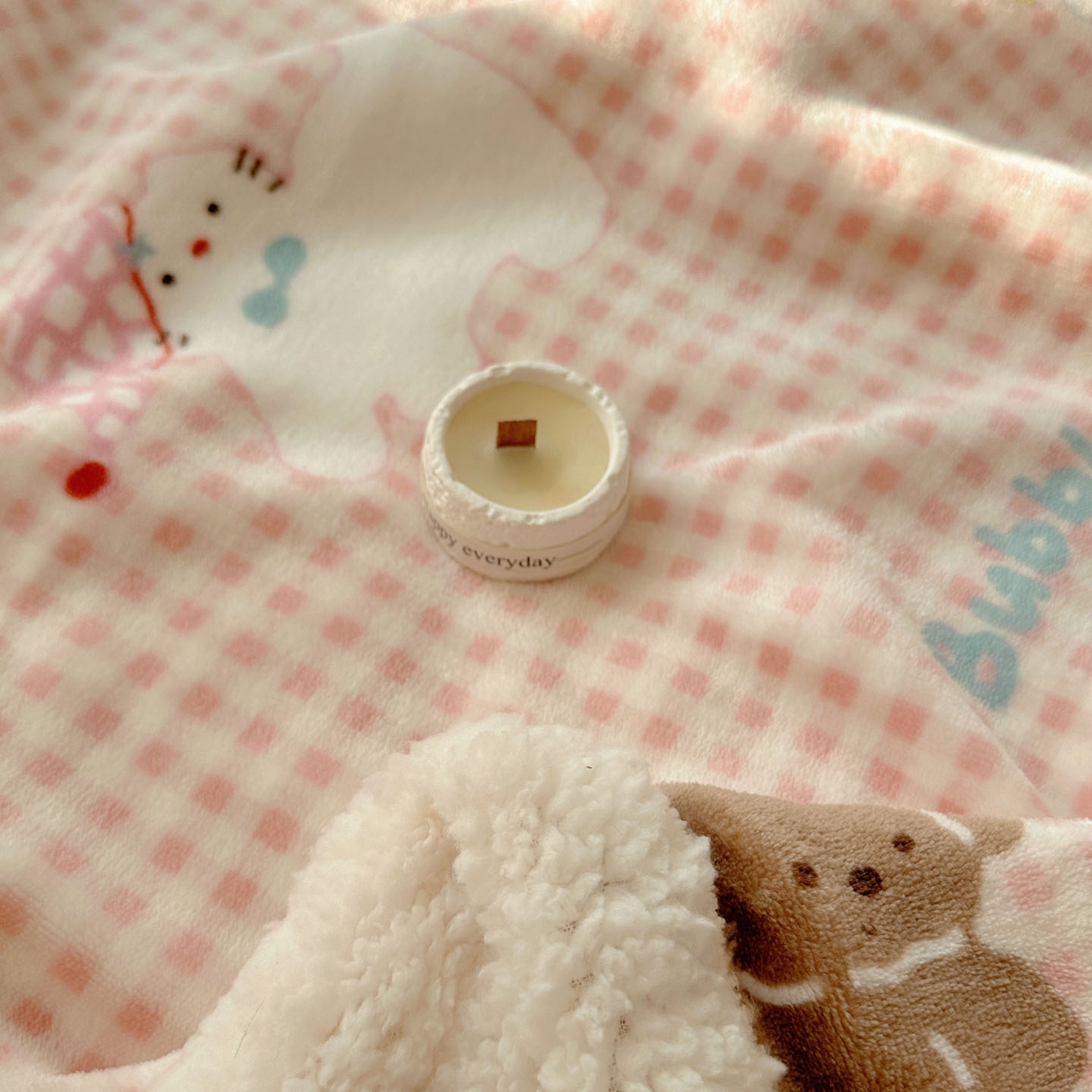 91家纺网 家纺一手货源 找家纺 美乐迪  2025新款牛奶绒羊羔绒毛毯 圣诞狗狗