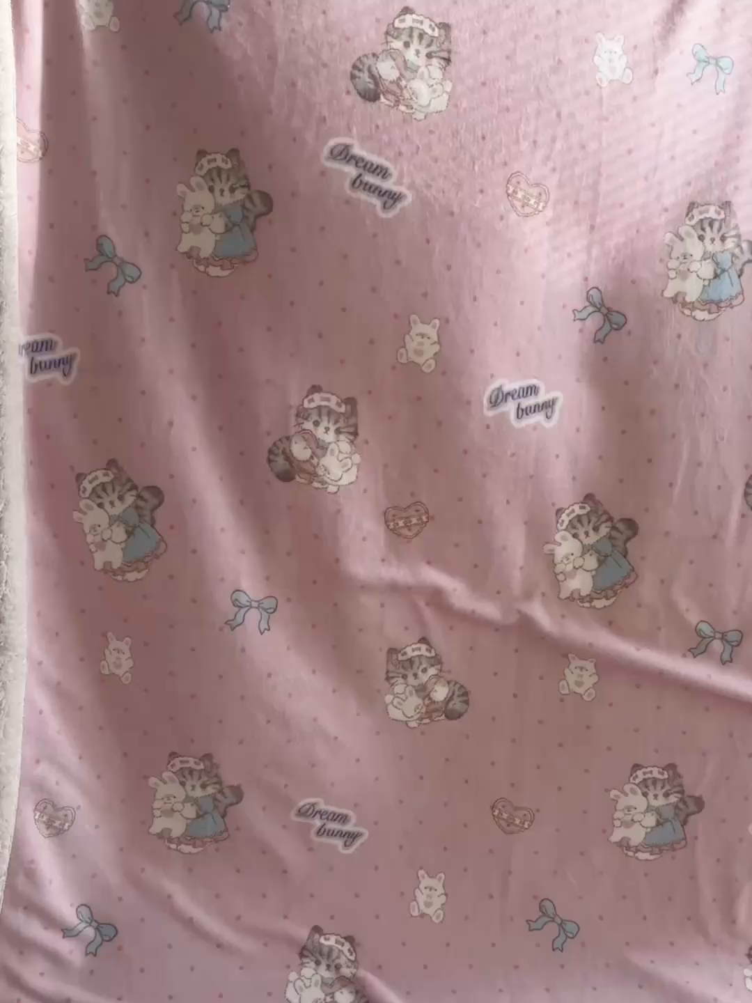 91家纺网 家纺一手货源 找家纺 美乐迪  2025新款牛奶绒羊羔绒毛毯 洛丽塔小猫