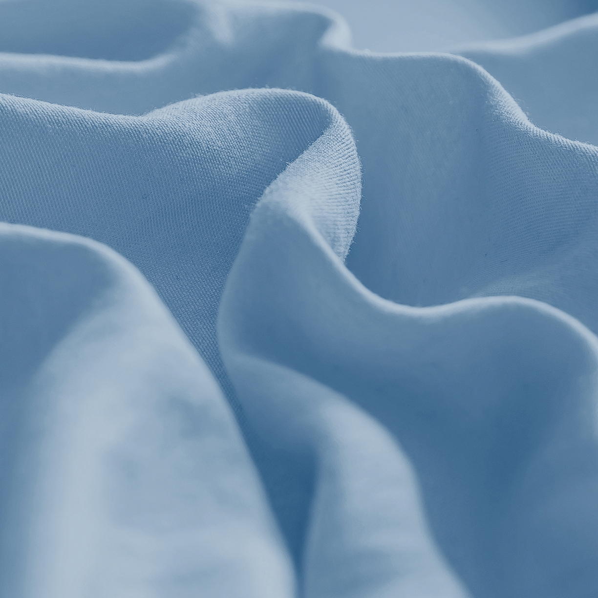 91家纺网 家纺一手货源 找家纺 品乐家纺 2025新款飞边大豆被烫画冬被被子被芯冬被 珍珠兰