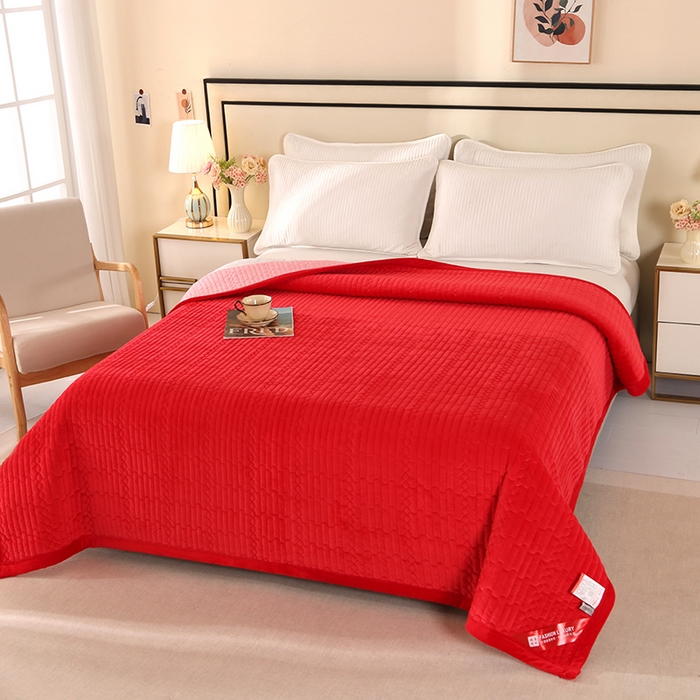 91家纺网 家纺一手货源 找家纺 （总）栩裕纺织 2025新款宝宝绒夹棉单床盖-直边款