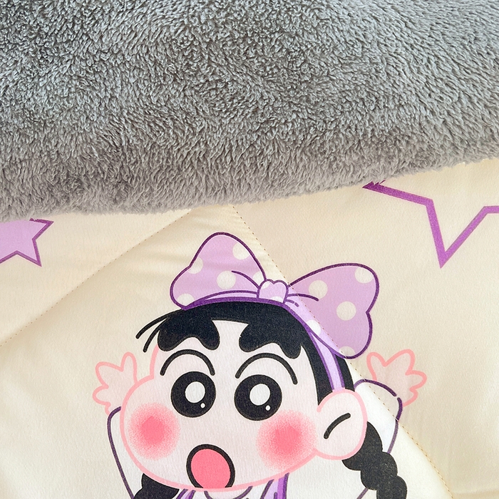 91家纺网 家纺一手货源 找家纺 VIP被业 2025新款羊羔绒印花冬被保暖被芯直播爆款纤维被子被芯 蜡笔没点新