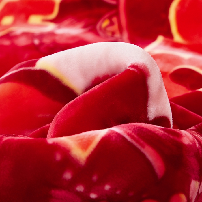 91家纺网 家纺一手货源 找家纺 静宝乳胶 2025新款双层加厚拉舍尔毛毯4-12斤CC-801 大红