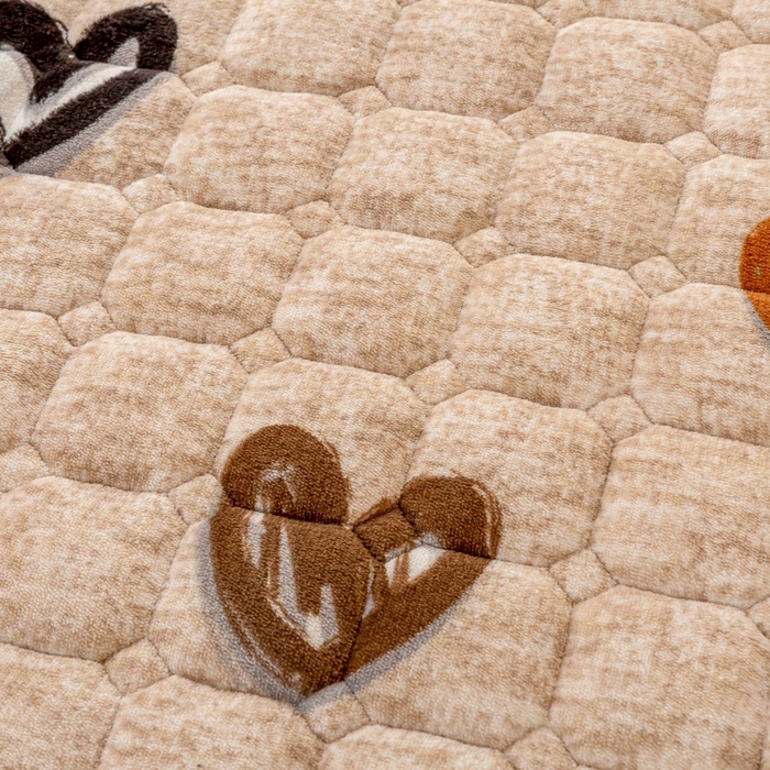 91家纺网 家纺一手货源 找家纺 家喜爱 2025新款暖绒边-加厚牛奶绒学生床褥-第二批 爱心咖