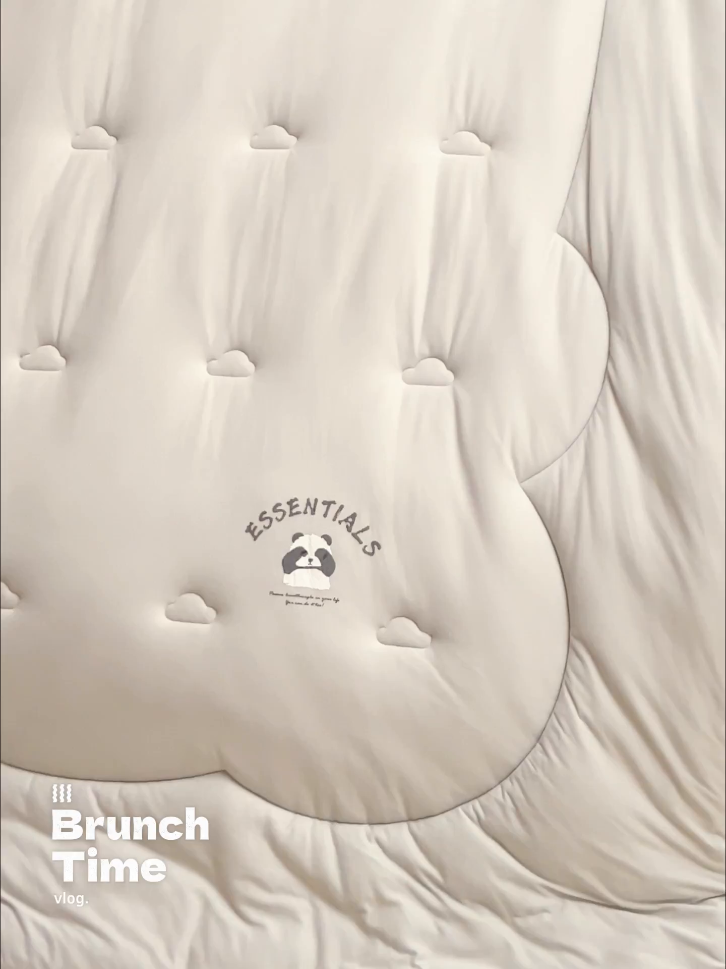 91家纺网 家纺一手货源 找家纺 （总）子由家居 2025新款针织德绒猫猫大豆冬被被子被芯