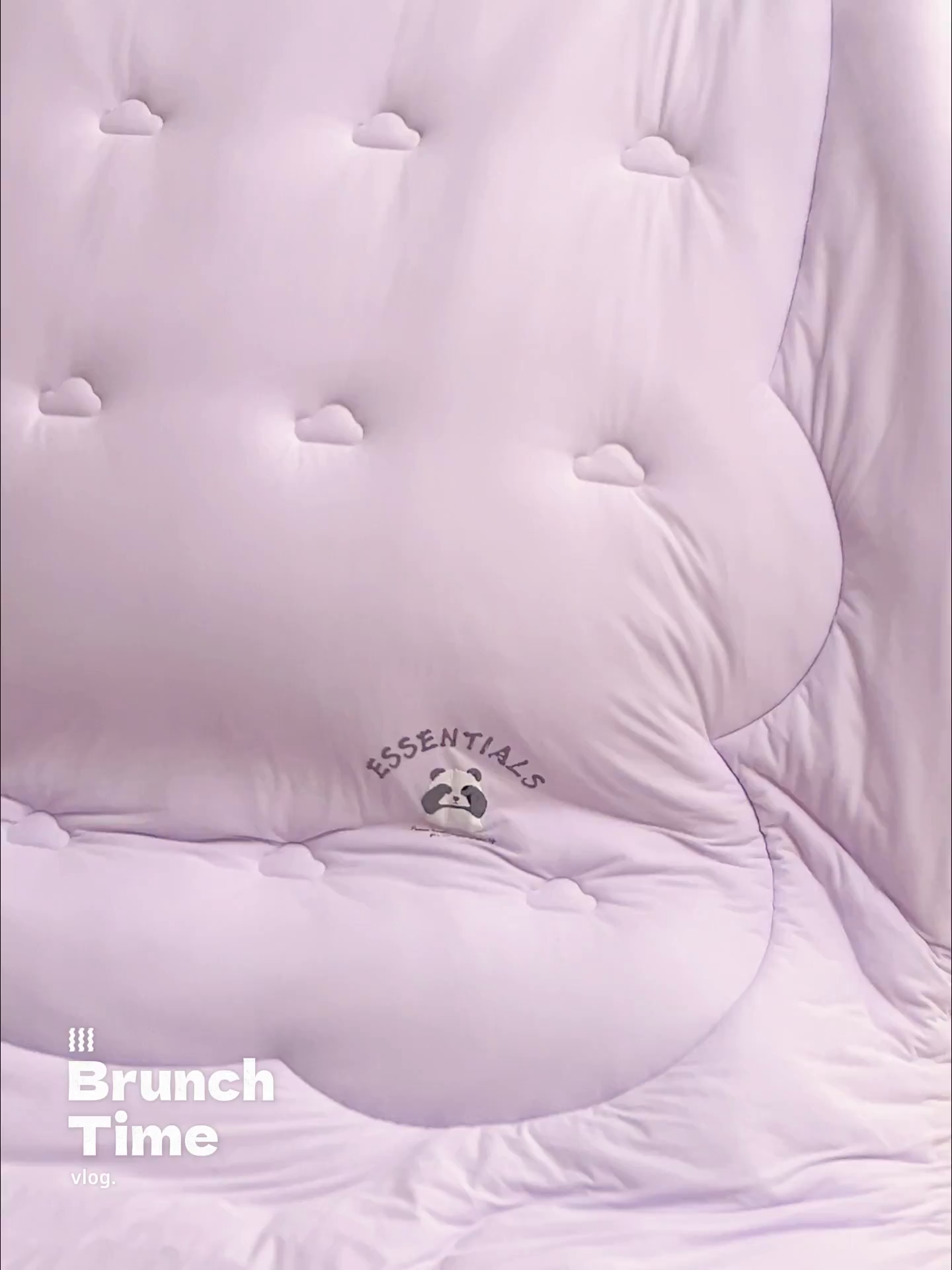 91家纺网 家纺一手货源 找家纺 子由家居 2025新款针织德绒猫猫大豆冬被被子被芯 猫猫被-浅紫