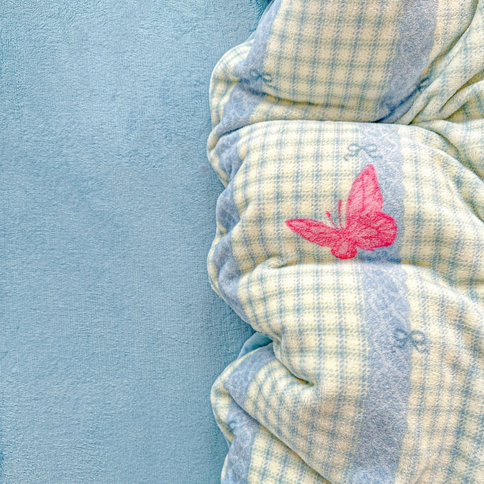 91家纺网 家纺一手货源 找家纺 卡普 2025新款牛奶绒印花单被套蝶舞格韵