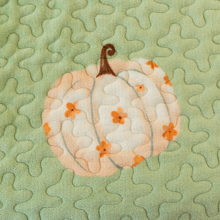 91家纺网 家纺一手货源 找家纺 梓依家纺 2025新款牛奶绒花边单床盖三件套四件套 可爱南瓜-绿