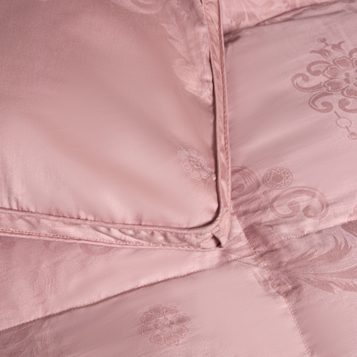 91家纺网 家纺一手货源 找家纺 缔莱（十三铭）被业 2025新款柔赛丝提花羽毛被被子被芯 立体提花-豆沙