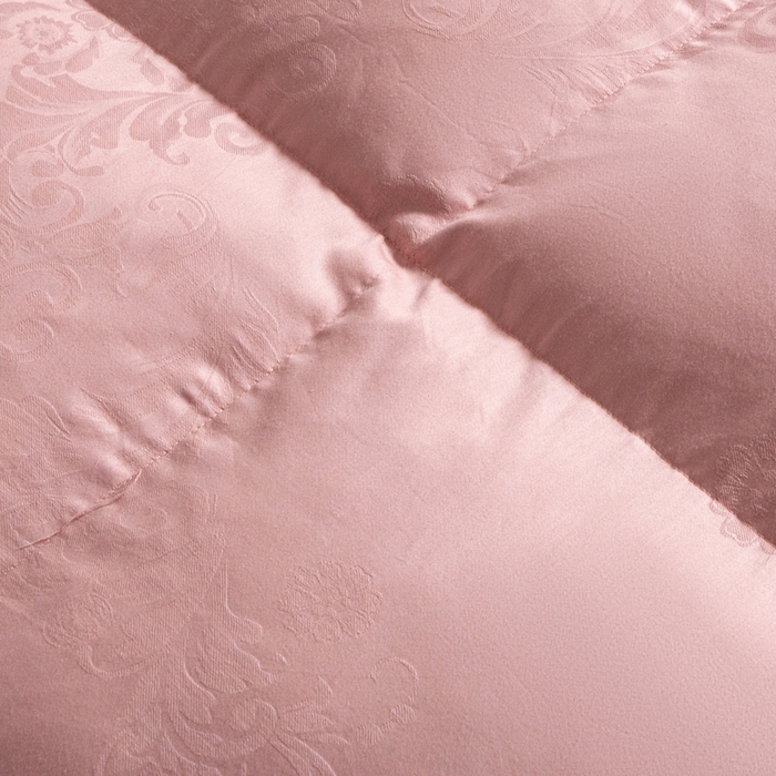 91家纺网 家纺一手货源 找家纺 缔莱（十三铭）被业 2025新款柔赛丝提花羽毛被被子被芯 立体提花-豆沙