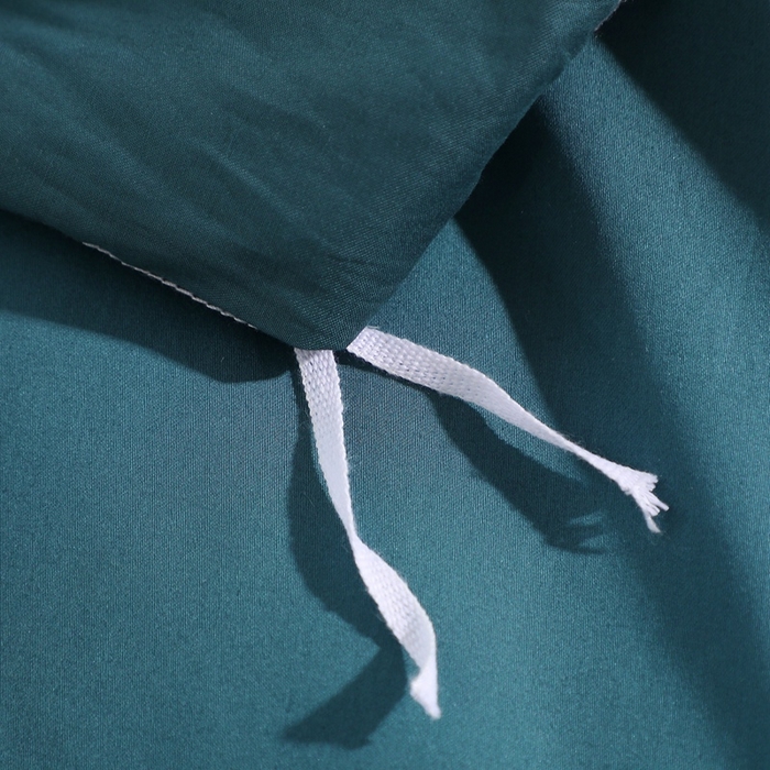 91家纺网 家纺一手货源 找家纺 晶缦家纺 2025新款韩版纯棉60支全棉贡缎长绒棉绣花四件套 彤彤樱桃-猫眼绿