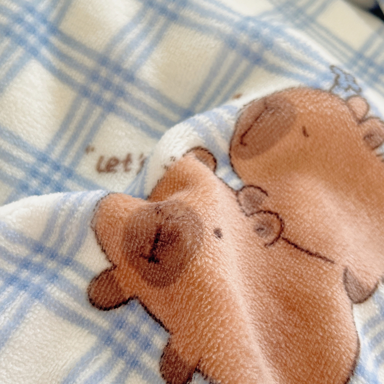 91家纺网 家纺一手货源 找家纺 桃子家居 2025新款A类ins小清新少女奶油卡通可爱加厚牛奶绒四件套 绒-蓝格卡皮巴拉