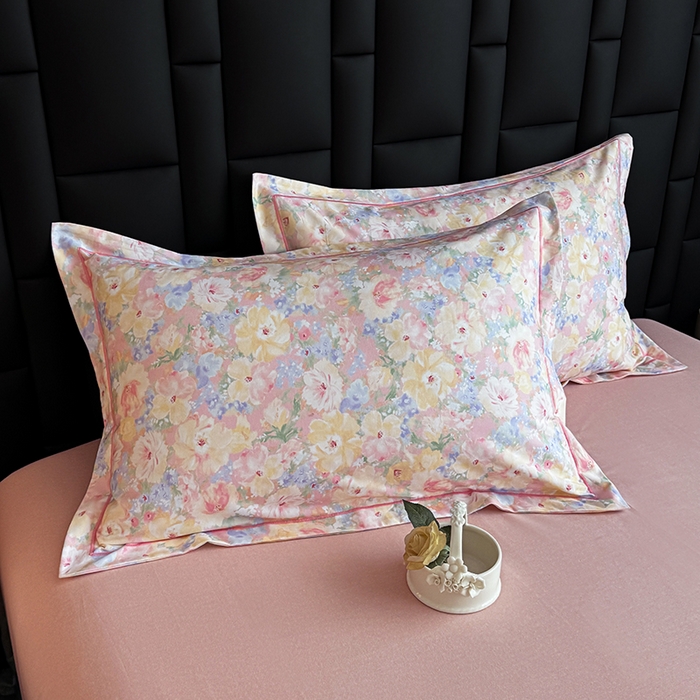 金盛纺 2025新款全棉纯棉加厚磨毛印花单品枕套 枕套单件 仙女星尘