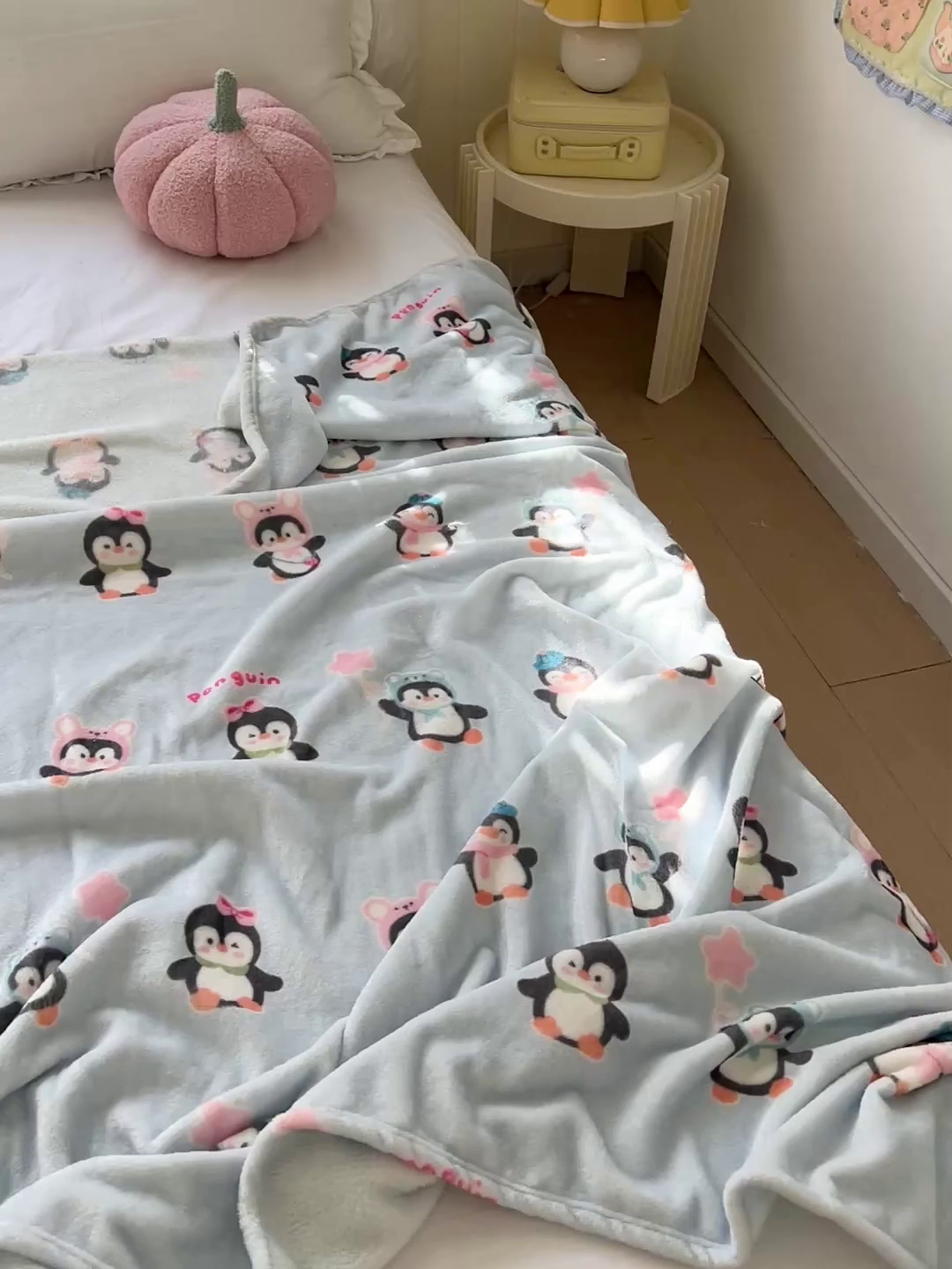 91家纺网 家纺一手货源 找家纺 （总）初念 2025新款四季款双面牛奶绒多功能毛毯