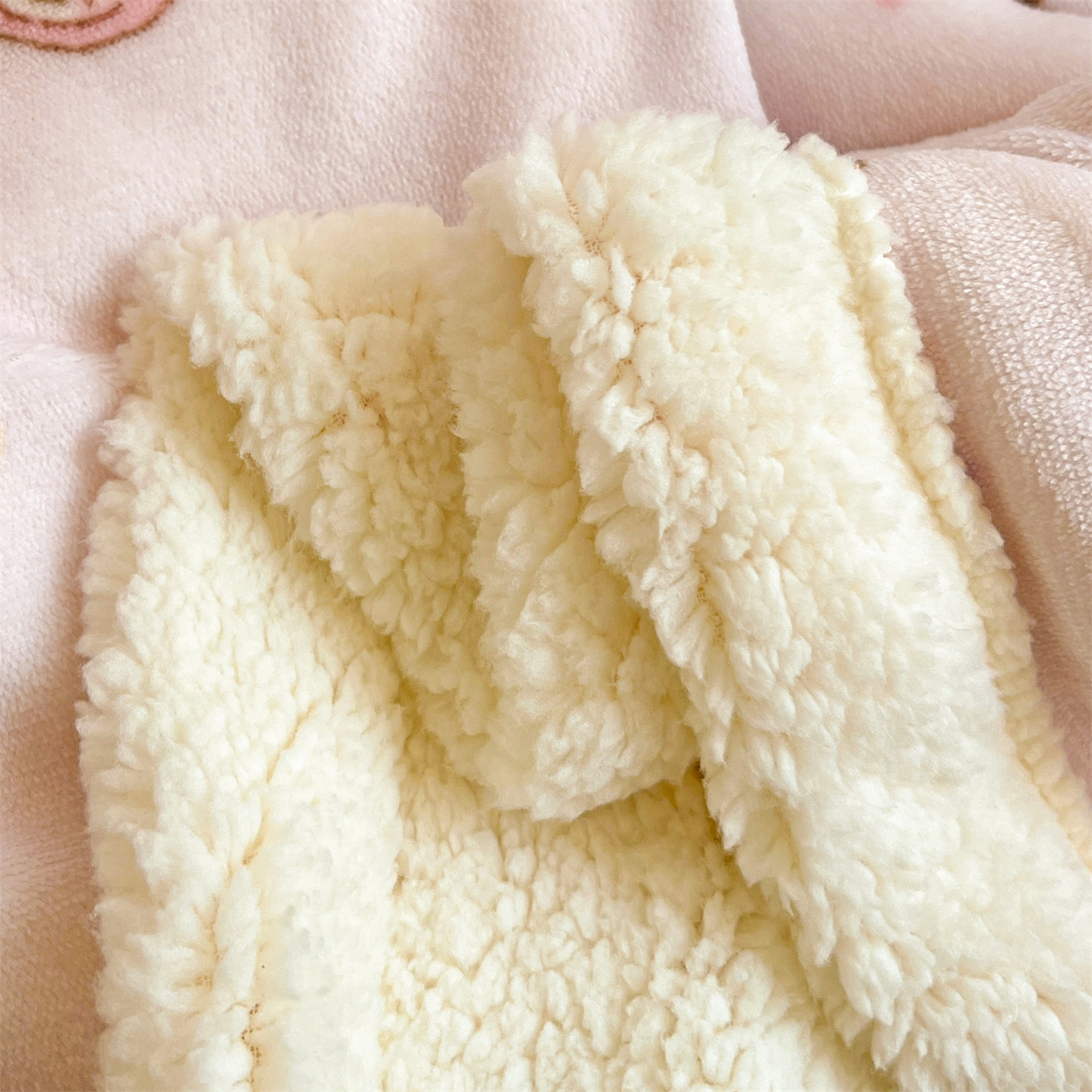 91家纺网 家纺一手货源 找家纺 名兮 2025新款秋冬高克重牛奶绒羊羔绒多功能盖毯 毛毯-萌宠粉