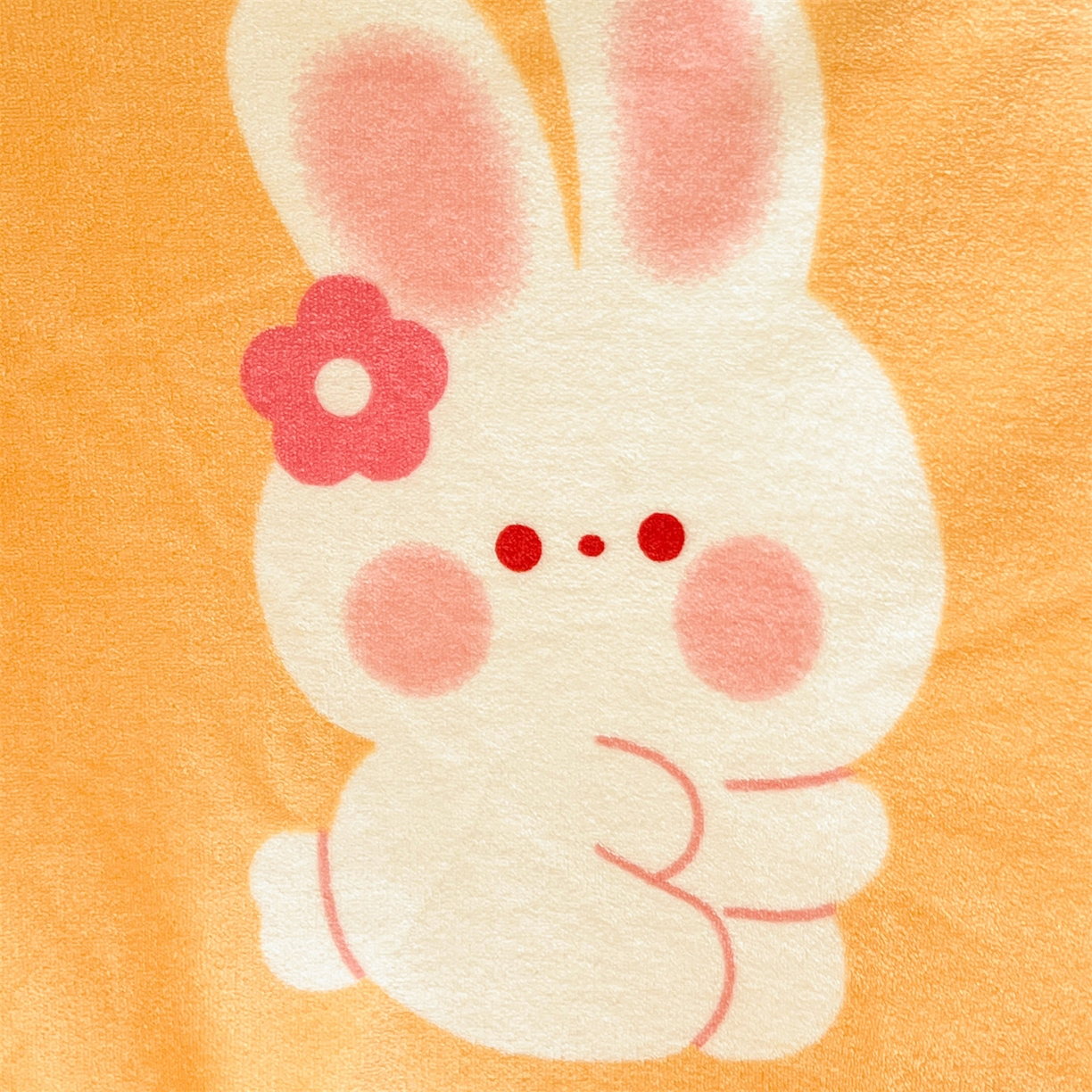 91家纺网 家纺一手货源 找家纺 名兮 2025新款秋冬高克重牛奶绒羊羔绒多功能盖毯 毛毯-兔兔派对