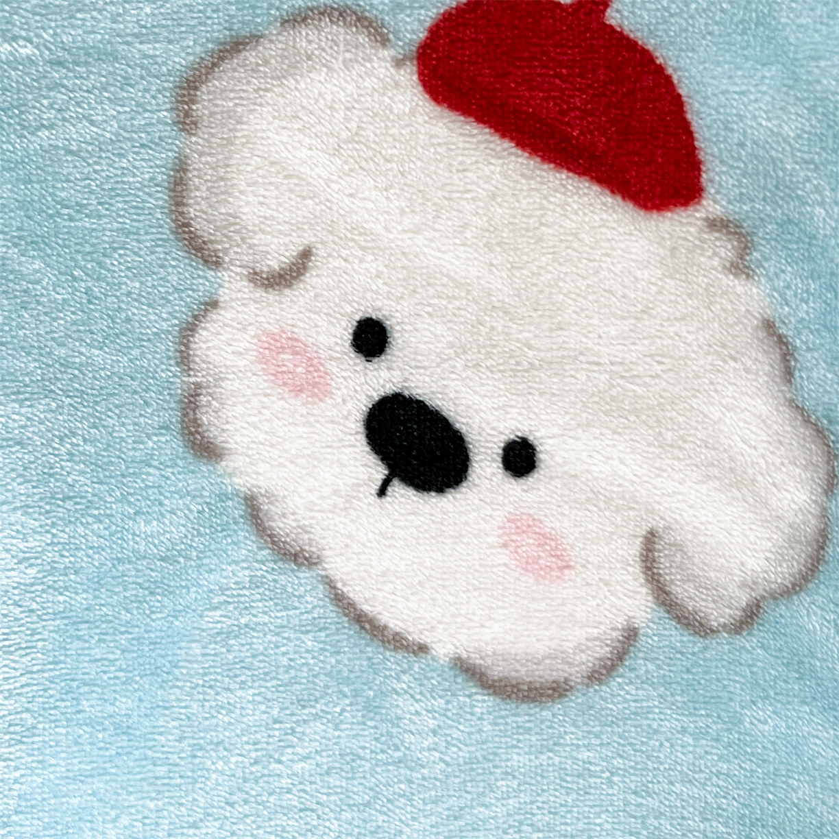 91家纺网 家纺一手货源 找家纺 名兮 2025新款秋冬高克重牛奶绒羊羔绒多功能盖毯 毛毯-小红帽