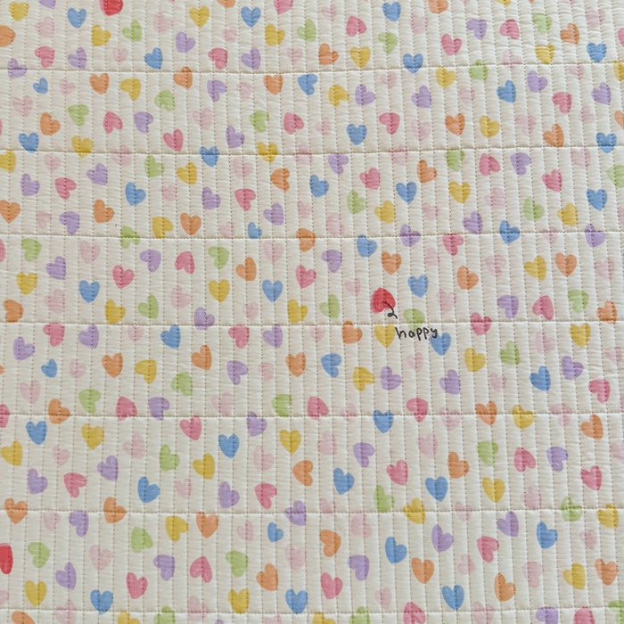 91家纺网 家纺一手货源 找家纺 梵朴 2025新款A类棉加绒一面纯棉一面宝宝婴儿牛奶绒双面可用床盖学生宿舍床垫炕盖-学生床图 五彩小爱心
