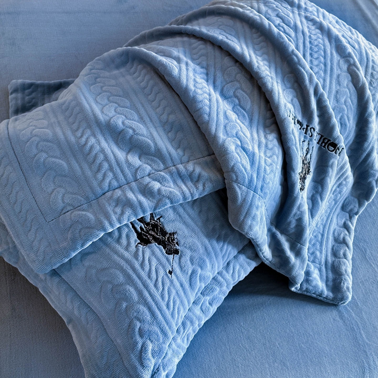 91家纺网 家纺一手货源 找家纺 爱家（原缔乐家纺） 2025新款A类牛奶雕花绒四件套 保罗-黑天鹅系列 保罗-宾利兰